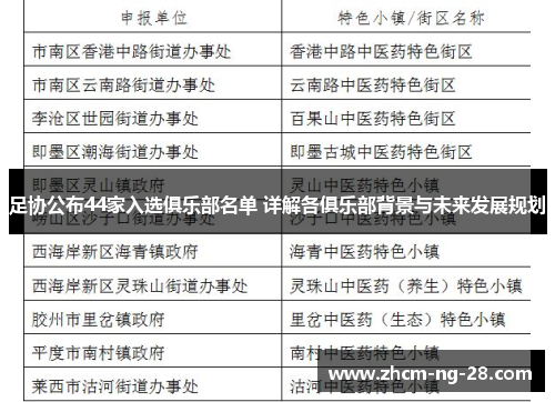 足协公布44家入选俱乐部名单 详解各俱乐部背景与未来发展规划
