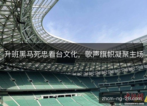 升班黑马死忠看台文化，歌声旗帜凝聚主场
